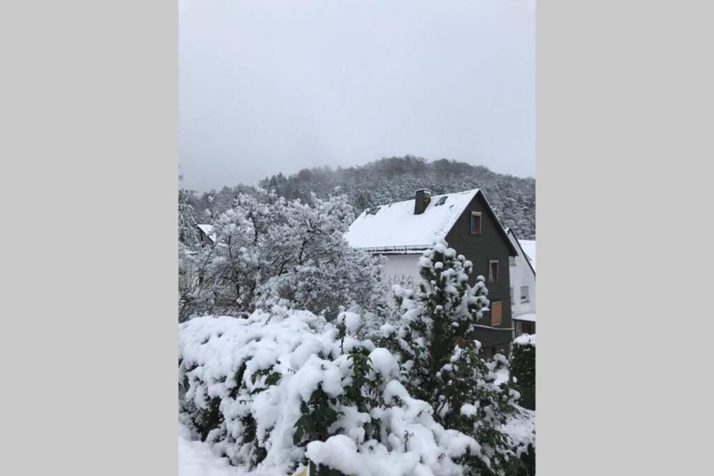 Dream Green Apartment 'Meadow' Gladenbach エクステリア 写真